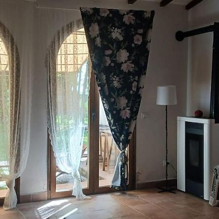 Casetta Di Laura Пиза Экстерьер фото
