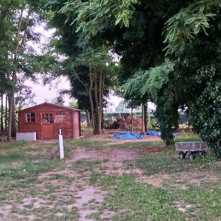 Casetta Di Laura Пиза Экстерьер фото